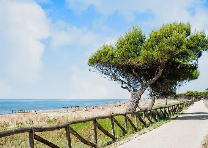 First Floor Flat With Terrace And Pool Access 公寓 比比翁